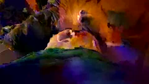 max884572 online show from 04/23/26, 11:18