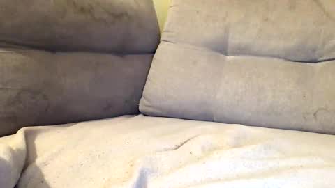 maximemax14 online show from 02/25/26, 08:18