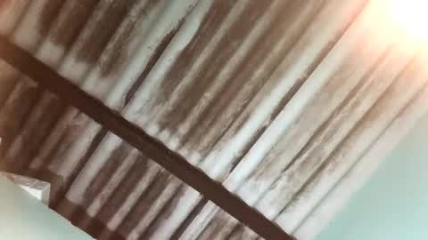 Maximo Aron Vega online show from 01/25/25, 04:02