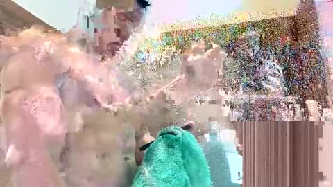 Sebastian online show from 12/19/24, 04:46