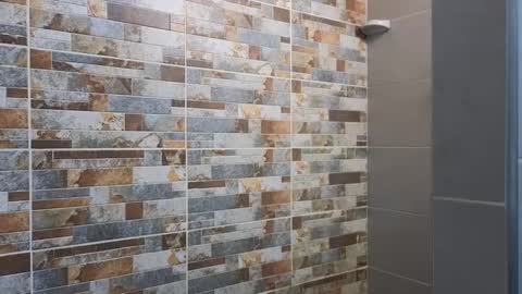 Sebastian online show from 12/24/24, 10:17