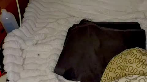 maybeanal online show from 10/30/25, 02:02