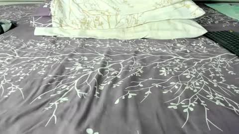 Snapshot of maybelline_666 chatting on 10/28/25, 09:17 Maybelline69 online show from 10/28/25, 09:17