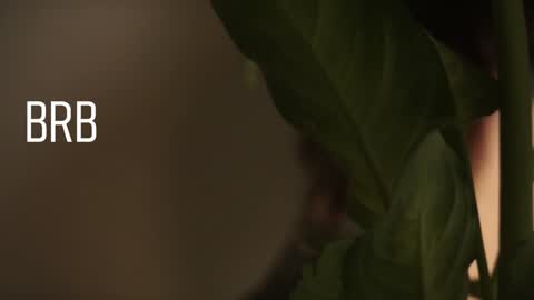 Mary  . online show from 12/28/24, 08:58