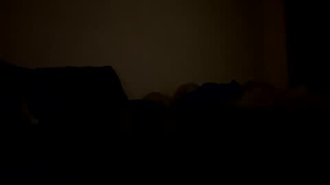 mb99667788 online show from 02/24/26, 03:15