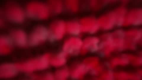 mblaqq online show from 04/23/26, 11:07