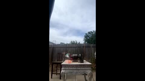 mcdanielx4209 online show from 06/06/26, 11:20