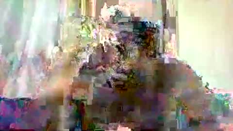 mclntz_bbc online show from 05/13/26, 12:24