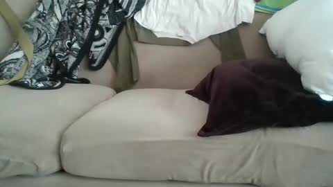 yung n hung online show from 02/08/25, 08:42