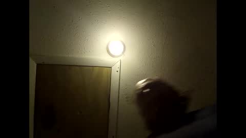 meaderd740870 online show from 02/14/26, 03:25