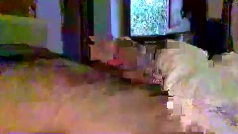 mecalientasmucho online show from 05/11/26, 04:40