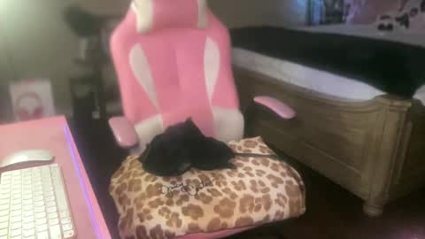 Southern Peach online show from 09/27/25, 04:17