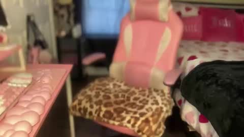 Snapshot of meetsouthernpeach chatting on 02/06/26, 07:50 Southern Peach online show from 02/06/26, 07:50