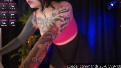 Snapshot of megan_evaans chatting on 12/29/24, 06:27 welcome guys   please  help me to reach 100 hands up Thanks  online show from 12/29/24, 06:27