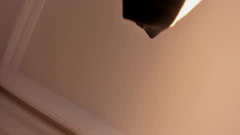     online show from 02/01/25, 05:58