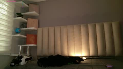     online show from 02/10/26, 01:04