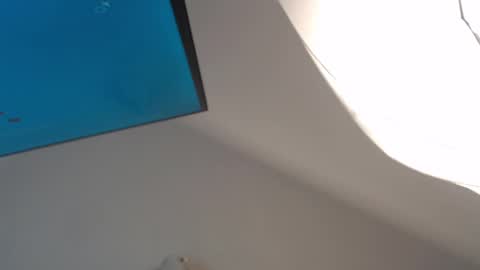 Megan online show from 12/06/24, 09:35