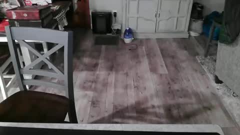 GlamTransGoddess online show from 02/26/25, 12:27