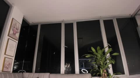 Mara online show from 01/31/25, 10:42