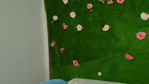 megatitts_ online show from 01/06/26, 05:38