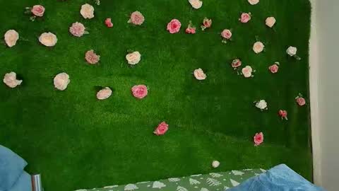 megatitts_ online show from 02/22/26, 06:46