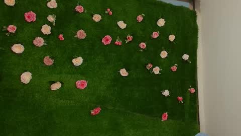 megatitts_ online show from 04/01/26, 01:41