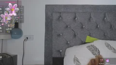 Meghan  online show from 02/24/26, 08:51