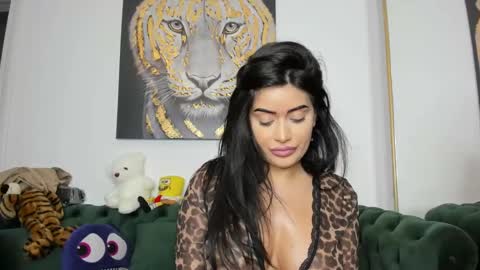 Snapshot of megpalmer chatting on 02/21/25, 08:38 megpalmer online show from 02/21/25, 08:38