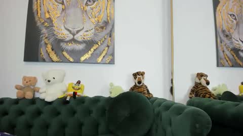 Snapshot of megpalmer chatting on 11/12/25, 08:08 megpalmer online show from 11/12/25, 08:08