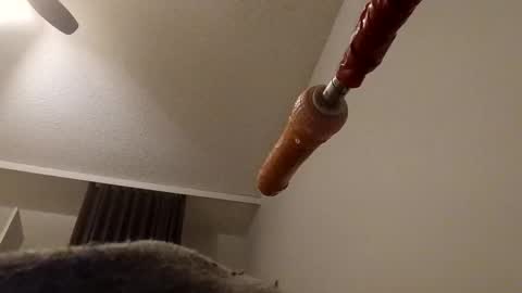 meheriuk68 online show from 12/17/25, 12:16