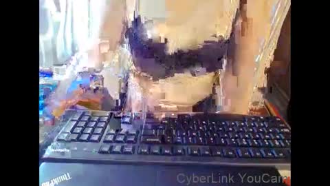 Snapshot of meimei_888 chatting on 01/17/26, 02:11 meimei_888 online show from 01/17/26, 02:11