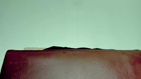 Melania online show from 11/06/25, 03:51