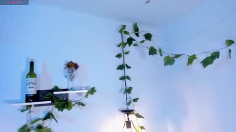 Snapshot of melanieecox chatting on 07/14/26, 01:08 Melanie online show from 07/14/26, 01:08