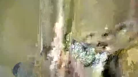 Snapshot of melanin_bae chatting on 12/04/25, 06:38 Baby online show from 12/04/25, 06:38