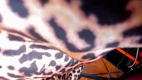 Melannie Ross online show from 04/21/26, 12:00