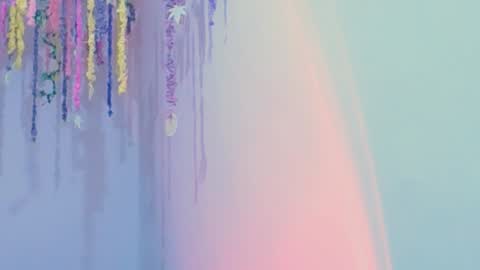 melissa online show from 01/30/25, 03:33