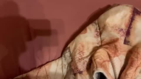 Snapshot of melissa9040 chatting on 02/09/26, 11:20 melissa9040 online show from 02/09/26, 11:20