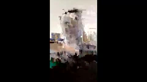 Snapshot of melissaknowles46 chatting on 02/01/26, 12:59 melissaknowles46 online show from 02/01/26, 12:59