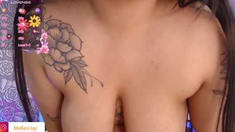 Snapshot of mellani_tay chatting on 02/03/25, 09:30 Mellani  online show from 02/03/25, 09:30