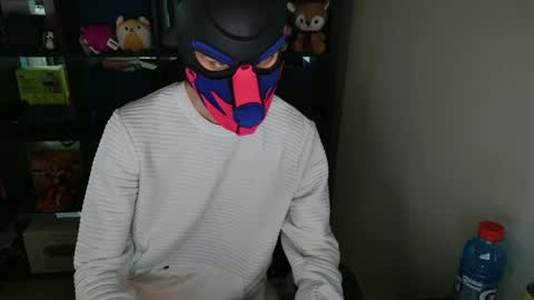 Snapshot of mellpup chatting on 04/05/26, 01:14 MellPUP online show from 04/05/26, 01:14