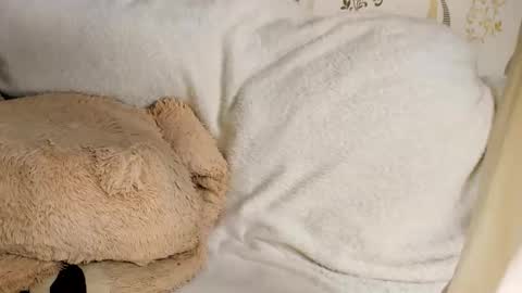 MelMooon online show from 03/11/26, 08:59