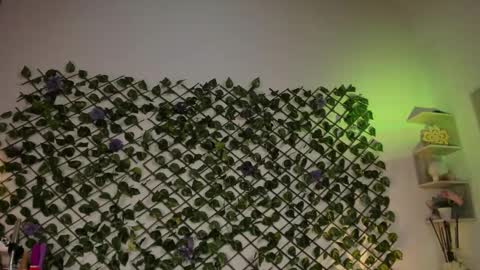 melody_cute10 online show from 01/26/25, 04:41