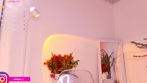 Melissa online show from 01/18/25, 09:13