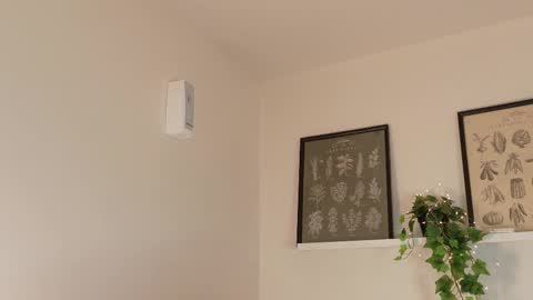  Memphis Williams  online show from 02/17/26, 04:20