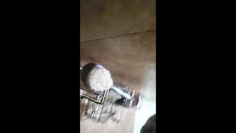 Snapshot of men_seeker chatting on 02/12/26, 12:49 men_seeker online show from 02/12/26, 12:49