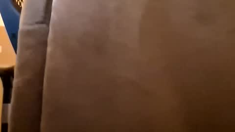 DutchFun Cock online show from 01/06/26, 04:32