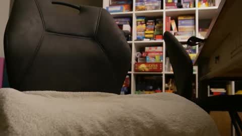 Snapshot of meneerkaas chatting on 12/29/24, 04:30 meneerkaas online show from 12/29/24, 04:30