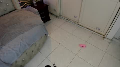 Snapshot of meraki_fraise chatting on 01/21/25, 01:08 online show from 01/21/25, 01:08