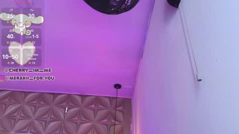 Snapshot of meraki_fraise chatting on 11/23/25, 07:57 online show from 11/23/25, 07:57