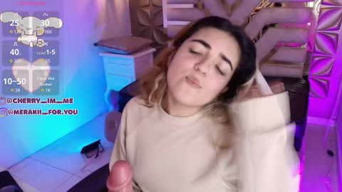 Snapshot of meraki_fraise chatting on 11/28/25, 09:17 online show from 11/28/25, 09:17